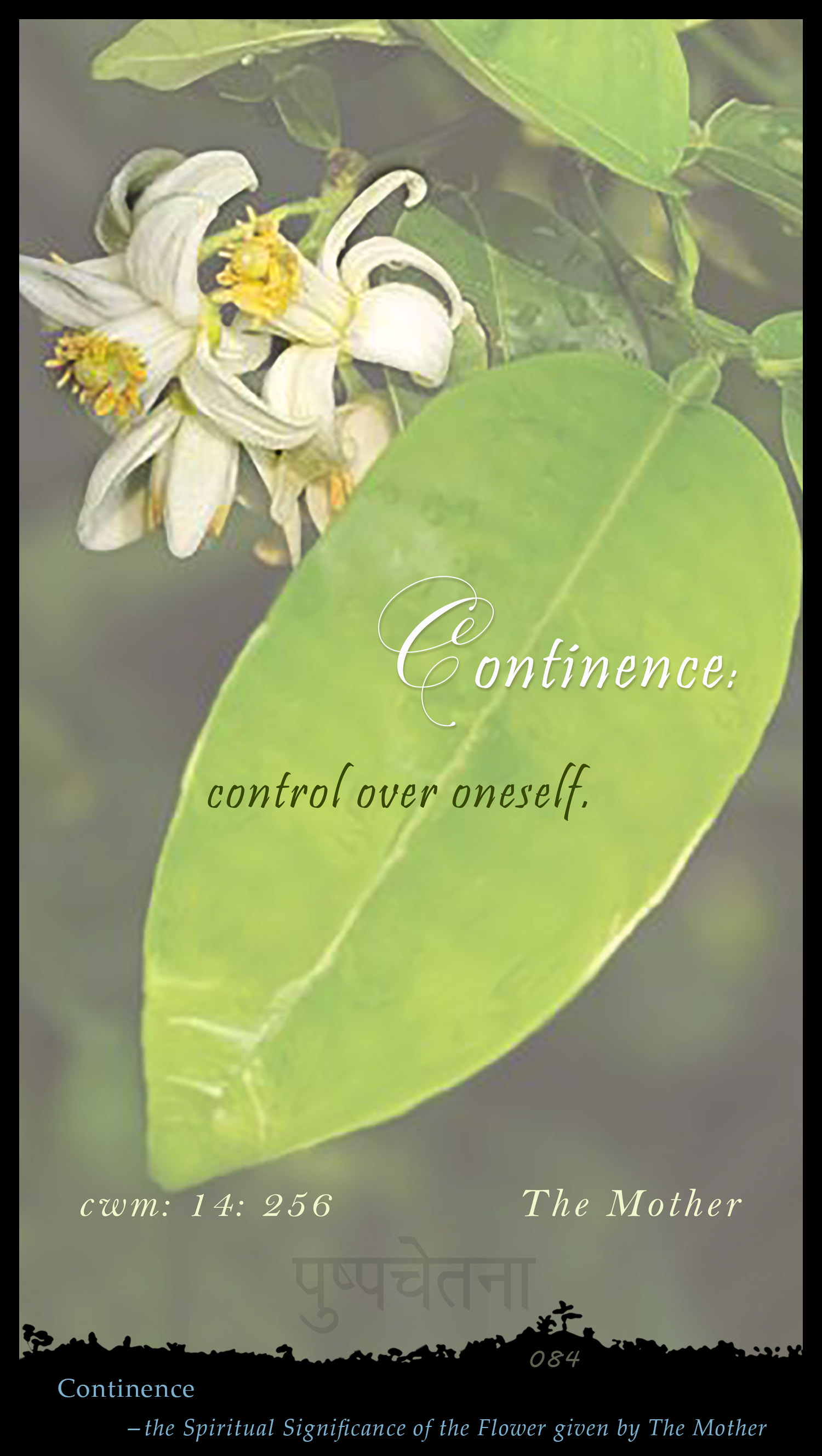 Continence